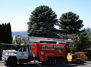 JD Tree Service Equipment